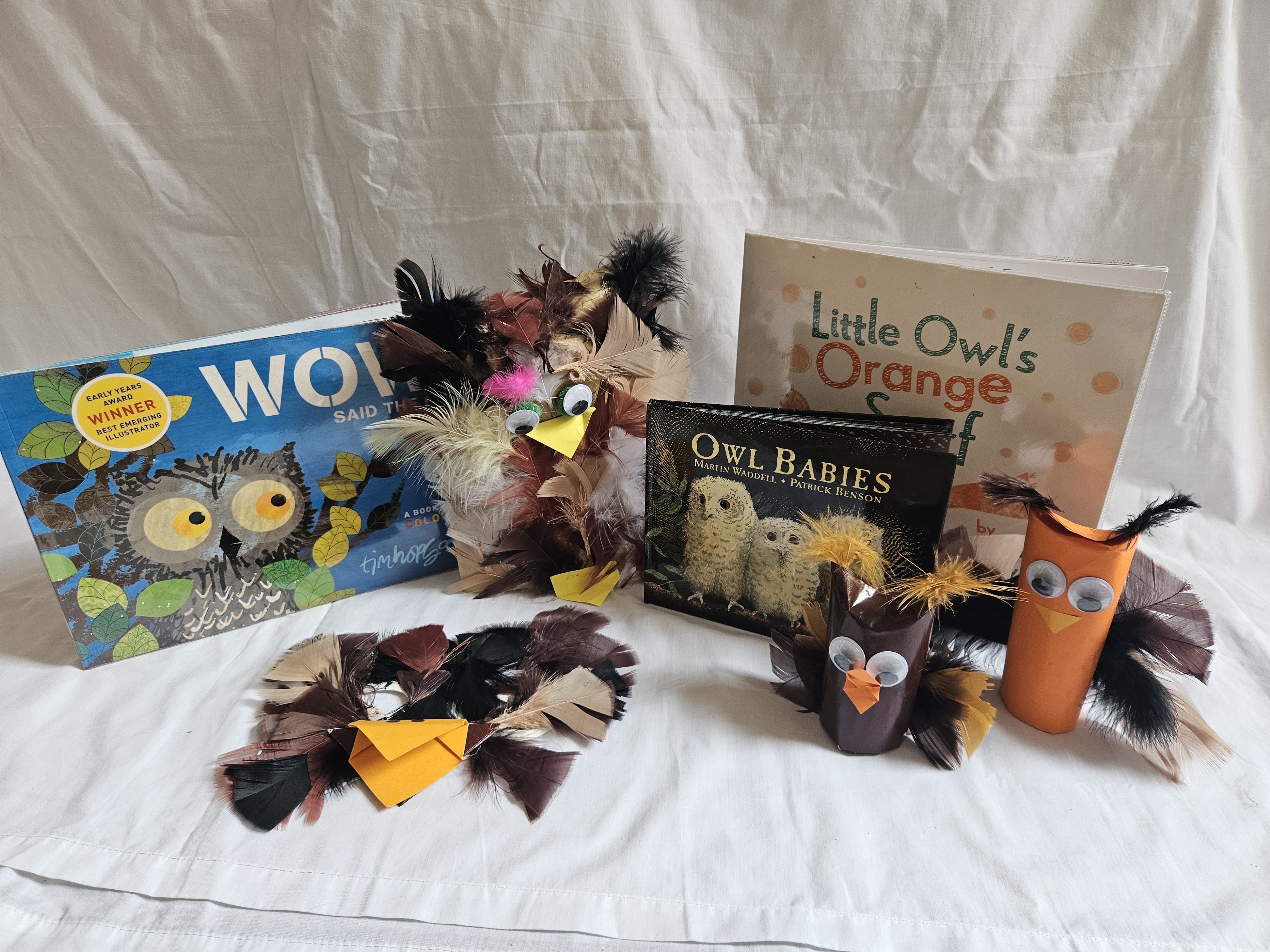 A selection of owl books and toys