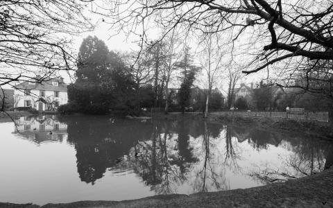 Photograph across a pond