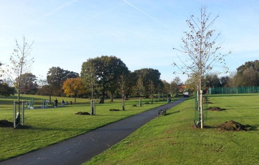 Barnet Council to plant 5,000 trees